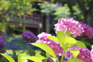 photo27